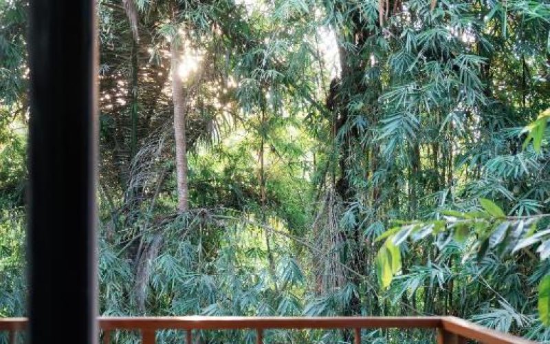 small-double-room-743343258